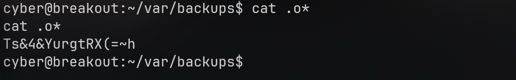 image-20251017132434214